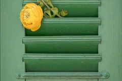 FT-Fototag_20260509_006