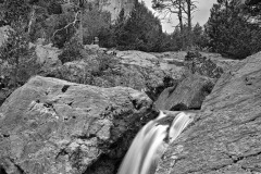 SW-F_2301_812205-Bach-Seematter_Beat-BR