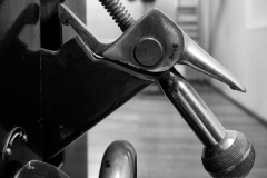 SW-P_2301_460905-Metallvogel-Nanzer_Annelis-BR