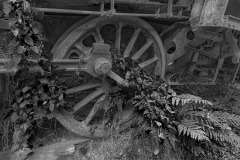 SW-P_2301_582005-Zahn_der_Zeit-Kuonen_Oliver-BR