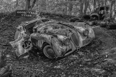 SW-P_2301_805405-Racecar-Kuonen_Oliver-BR