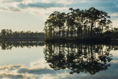 DI-F_2401_553005-Spiegelung-Bregy_Claudia-BR