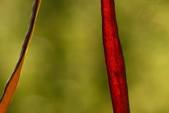 FB-F_2401_241105-Herbstblick-Nanzer_Annelis-BR