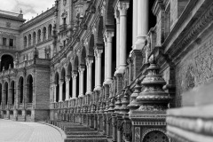 SW-F_2401_529805-Sevilla-DAndrea_Valeria-BR