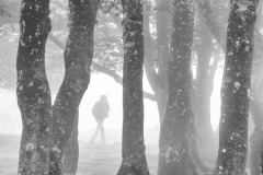 SW-F_2401_561005-Nebel-Eyer_Yvette-BR