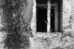 SW-F_2501_199205-altes_ Fenster-Nanzer_Annelis-BR