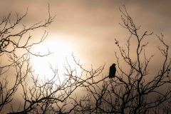 Lausanne_24.01.2026_Beat-Seematter2