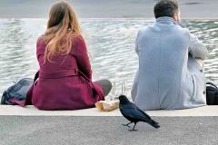 Lausanne_24.01.2026_Beat-Seematter7