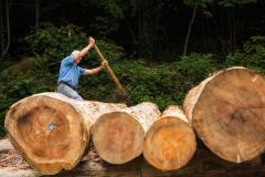 02-Energie-Catalano_Antonino