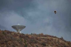 05-Energie-Catalano_Antonino