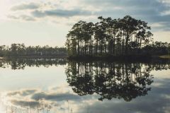 Everglades-lll-3-von-4