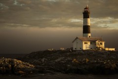 WhaleWatching-l-10-von-13