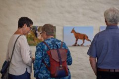 Ausstellung_FTB_2025-4