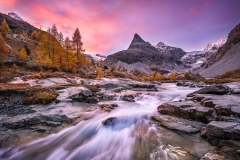 martin_maegli_naturbild-11-von-18