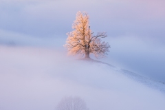 martin_maegli_naturbild-16-von-18