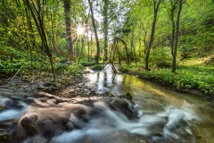 martin_maegli_naturbild-4-von-18