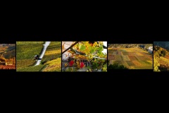 BR-XF-LK3-Herbstzauber-Sermier_Richard-0