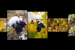 BR-XF-LK4-Eiswein-Sermier_Richard-0