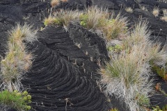 Rolf-Ritz-230822_016