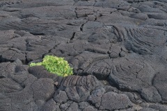 Rolf-Ritz-230822_023