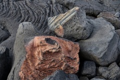 Rolf-Ritz-230822_026