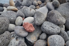 Rolf-Ritz-230823_014