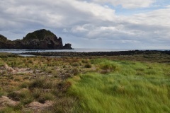 Rolf-Ritz-230823_027