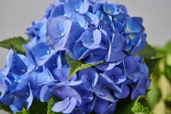 Rolf-Ritz-230829_016