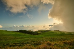 Rolf-Ritz-230831_013